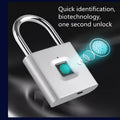 Intelligent Biometric Fingerprint Lock